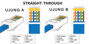 Standart Kabel Straight Tipe TIA/EIA 568B